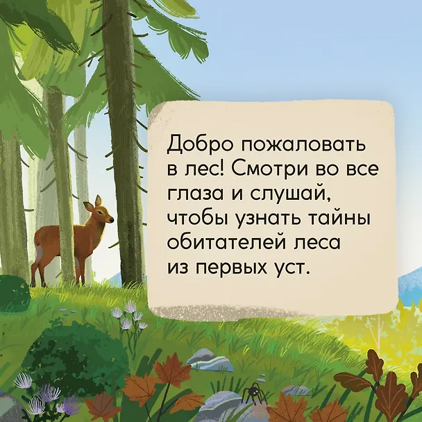 Книга Кто живёт в лесу? Иллюстрированный атлас животных (Алтея Вилла) — 8