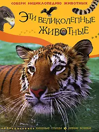 Эти великолепные животные. Хищные птицы. Дикие кошки — 2187725 — 1