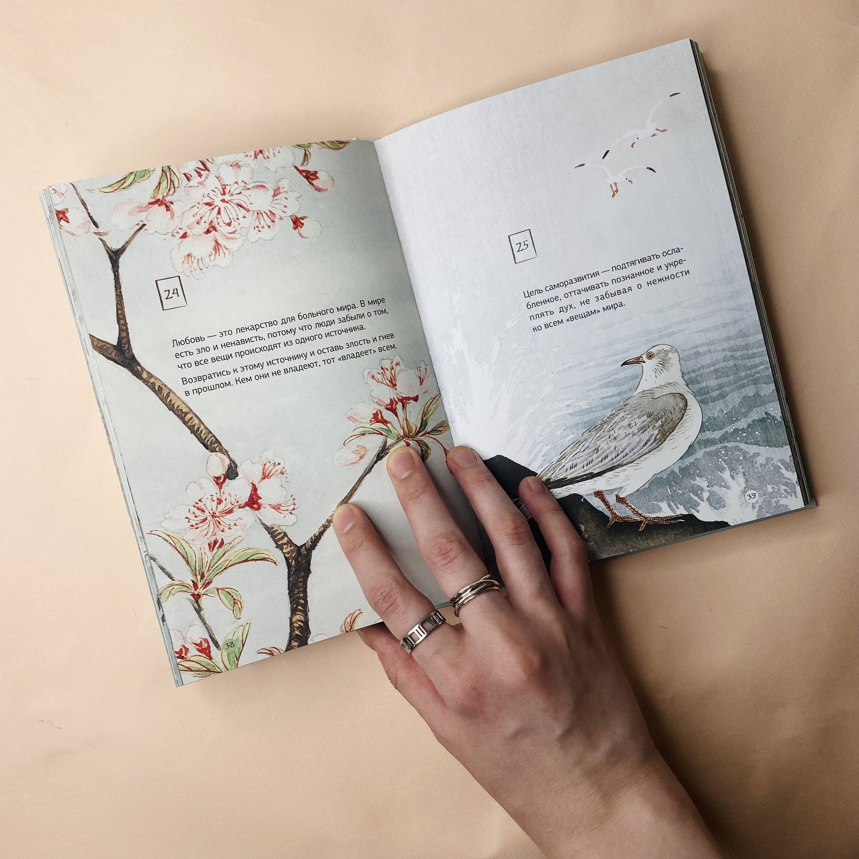 Изображение бумажной книги