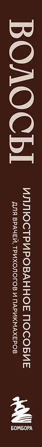 Книга Волосы. Иллюстрированное пособие для врачей, трихологов и парикмахеров (Алексей Ржешевский, Марина Войтова, Алексей Кабанов) — 4