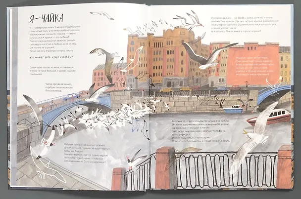 Книга Петербург – город чаек (Нина Дашевская) — 3