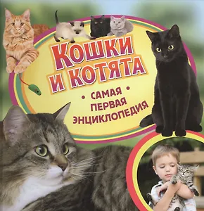 Кошки и котята