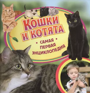 Кошки и котята — 2487180 — 1