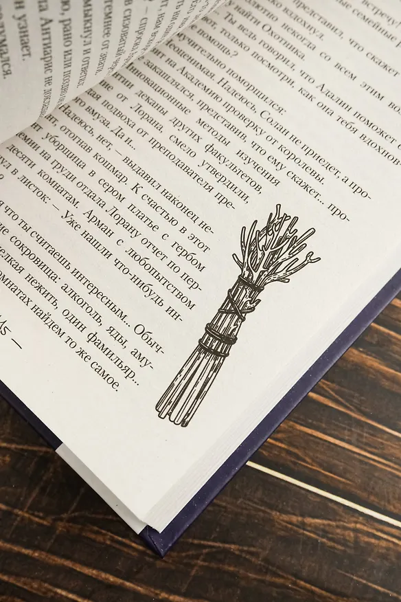 Книга Вакансия для злодея (Лилия Альшер) — 12