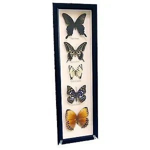 Панно Бабочки, 16х50см (101007)