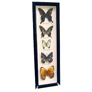 Панно Бабочки, 16х50см (101007) 2393946