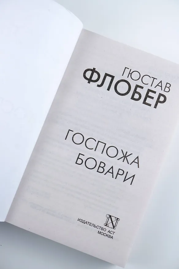 Книга Госпожа Бовари (Гюстав Флобер) — 8