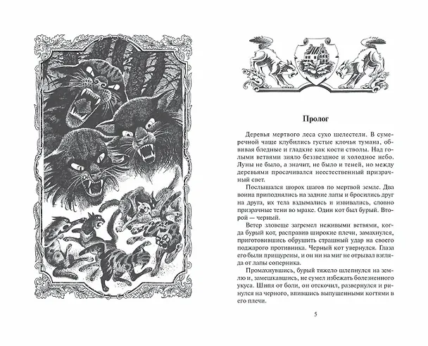 Книга Долгое эхо (Эрин Хантер) — 2