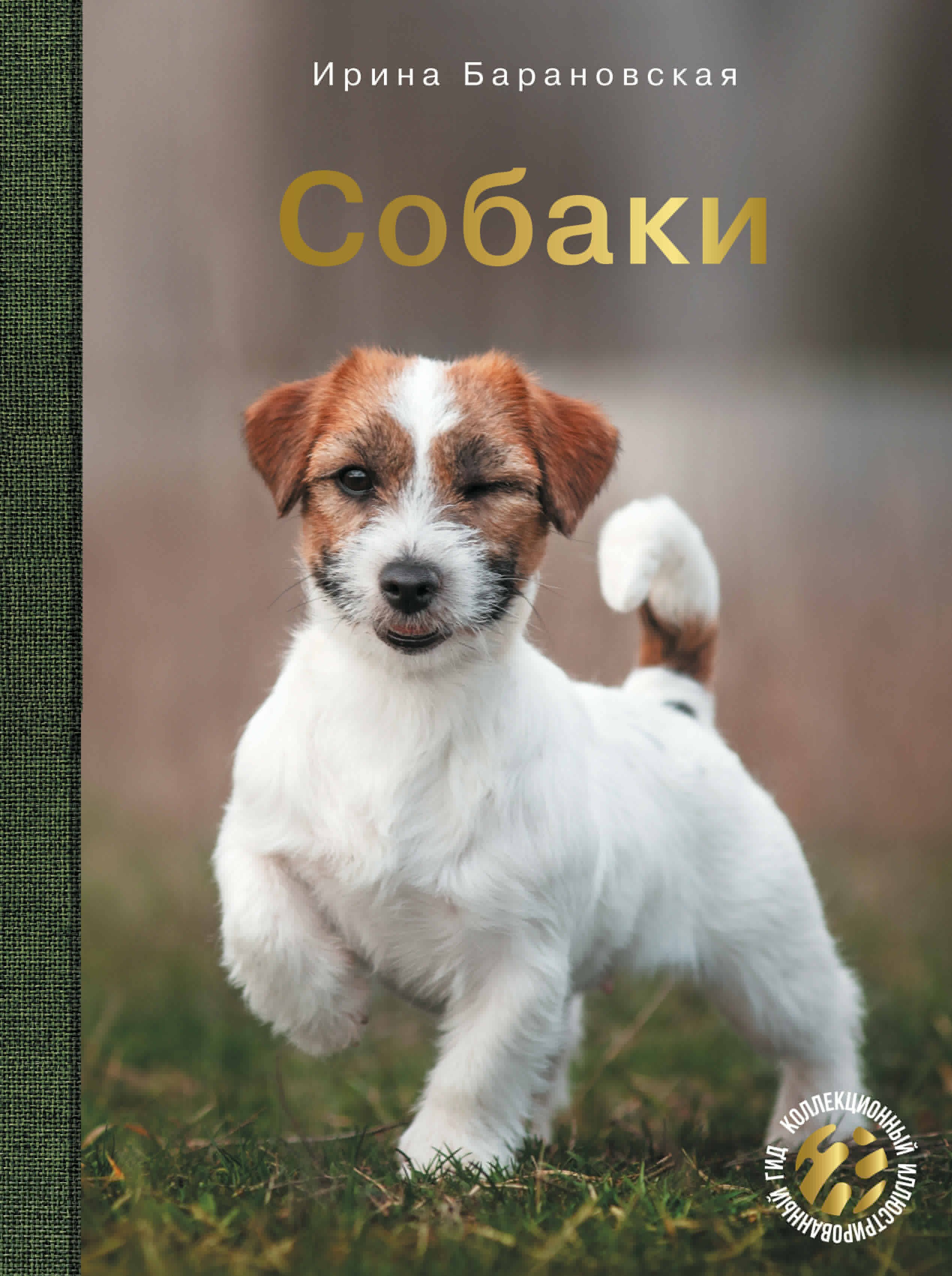 

Собаки