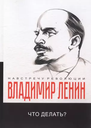 Что делать? Наболевшие вопросы нашего движения — 2748487 — 1