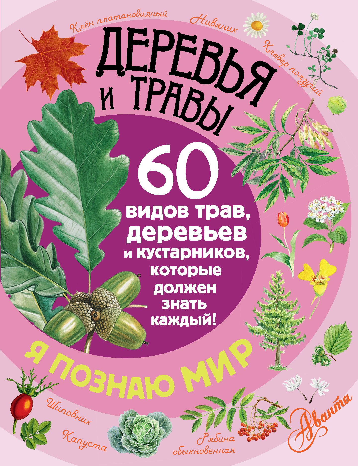 

Деревья и травы