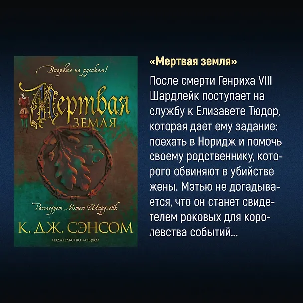 Книга Каменное сердце (Кристофер Сэнсом) — 12