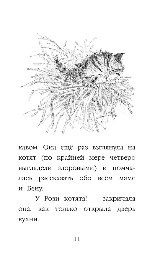 Книга Котёнок Пушинка, или Рождественское чудо: повесть (Холли Вебб) — 10