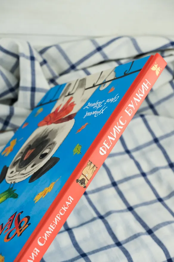 Книга Феликс Булкин (Юлия Симбирская) — 11