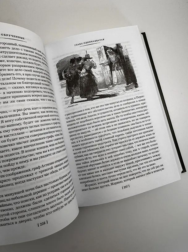 Книга Обрученные (Алессандро Мандзони) — 12