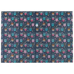 Папка-конверт «Совушки»