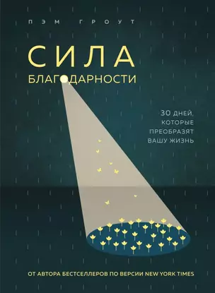 Сила благодарности. 30 дней, которые преобразят вашу жизнь — 2799131 — 1