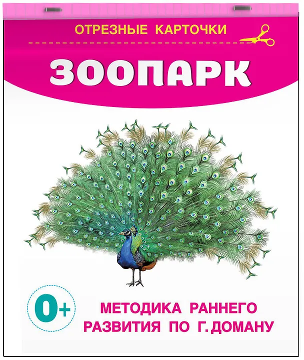 Книга Зоопарк. Отрезные карточки () — 3