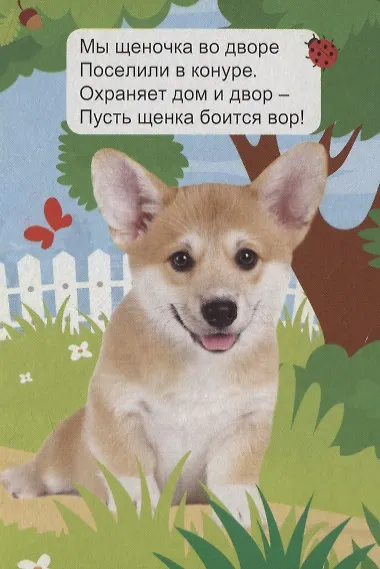 Книга ЦК МИНИ. ДОМАШНИЕ ЖИВОТНЫЕ () — 4