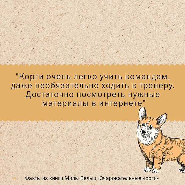 Книга Очаровательные корги: походка, которая вдохновляет! (Мила Вельш) — 9