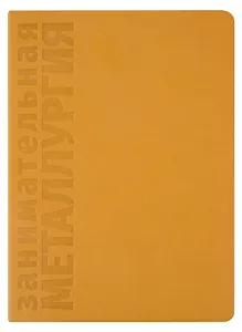 Занимательная Металлургия. Познавательный ежедневник