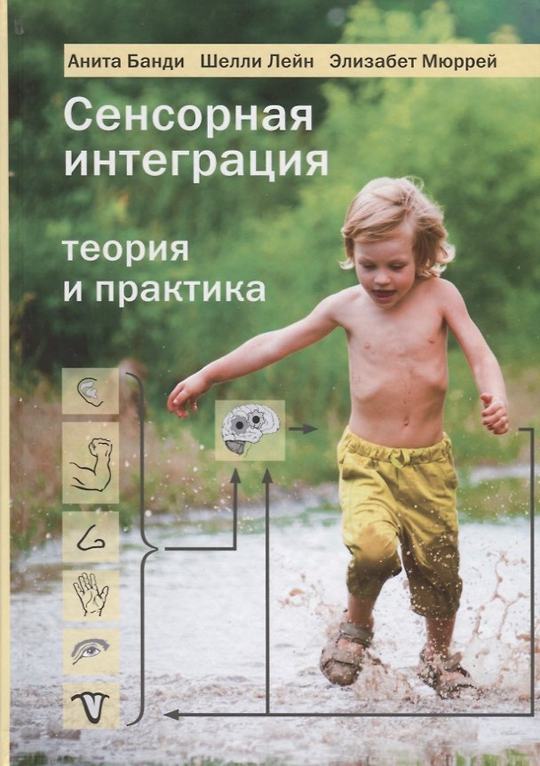 Книга Сенсорная интеграция. Теория и практика (Анита Банди) — 1