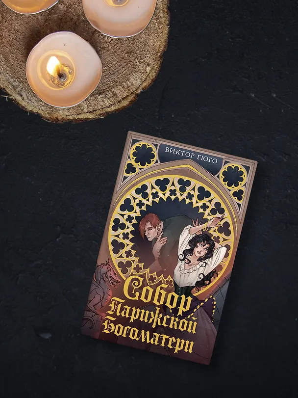 Книга Собор Парижской Богоматери (Виктор Мари Гюго) — 8