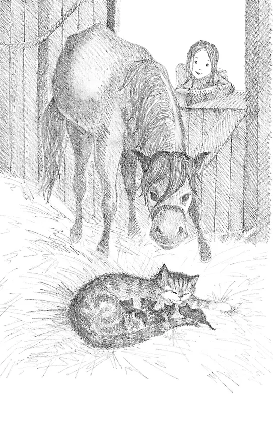 Книга Котёнок Пушинка, или Рождественское чудо: повесть (Холли Вебб) — 9