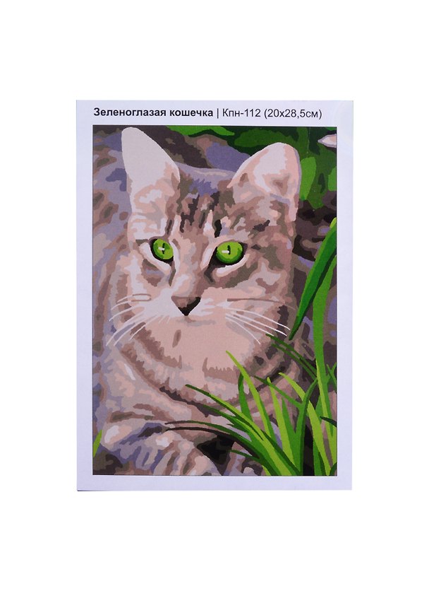 Кпн-112 Картина по номерам Зеленоглазая кошечка (ПочСебяХуд) (20х28 см) (коробка) (LORI) 2853909 — 1