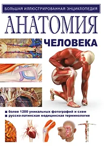 Анатомия человека