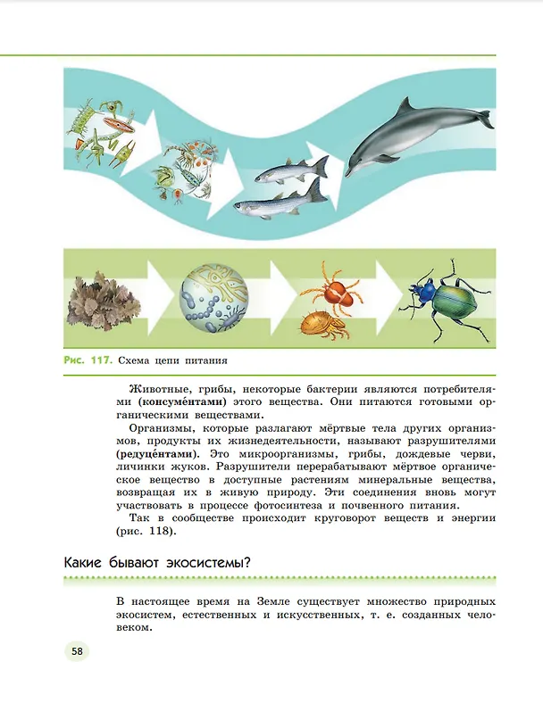 Книга Естествознание. 5 класс. Учебник. В двух частях. Часть 2 (Владислав Сивоглазов, Надежда Габрусева, Виктор Акуленко) — 4