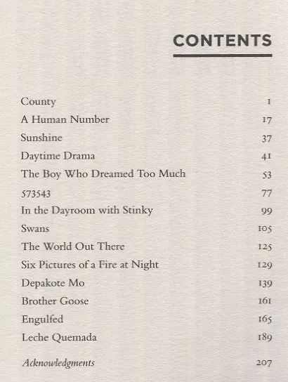 Книга The Graybar Hotel (Кёртис Доукинс) — 2