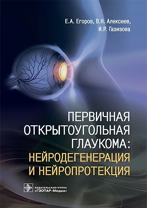 Первичная открытоугольная глаукома: нейродегенерация и нейропротекция — 2704838 — 1