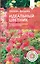 Идеальный цветник. Выращиваем многолетники без забот и хлопот — 3087004 — 1
