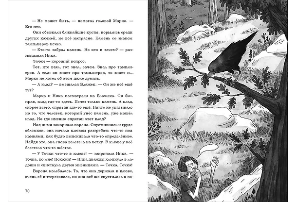Книга В поисках клада тамплиеров (Милан Петек-Левоков) — 5