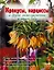 Крокусы, нарциссы и другие мелколуковичные цветы в вашем саду — 2231161 — 1
