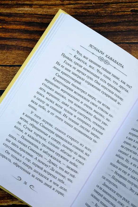 Книга Снежная страна (Ясунари Кавабата) — 10