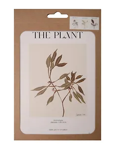 Набор постеров 13*18 "The Plant", 3 штуки