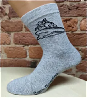 Носки СПб, Петр I (контур), серый, р.27-29 2961611