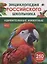 Удивительные животные. 250 фактов. Энциклопедия российского школьника — 3076817 — 1