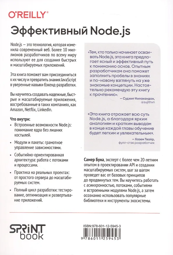 Книга Эффективный Node.js: От базовых навыков к профессиональной разработке (Самер Буна) — 2