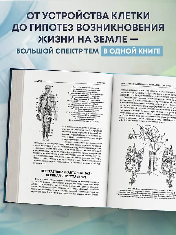 Книга Биология для абитуриентов. Полный курс для ОГЭ, ЕГЭ и олимпиад школьного и городского уровней (Елена Зигалова, Габриэль Билич, Владимир Пасечник) — 6