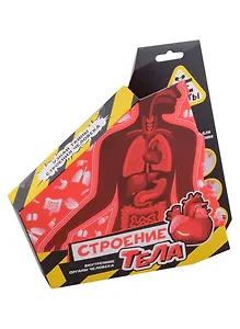 Научно-познавательный набор "Строение тела", модели "Re-Агенты"