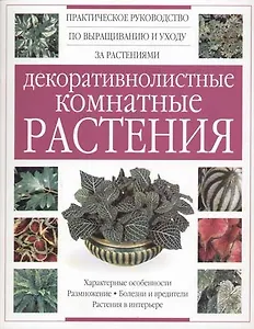 Декоративнолистные комнатные растения