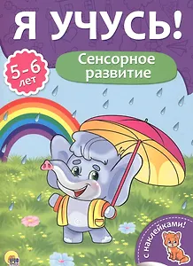 Сенсорное развитие (5-6 лет)