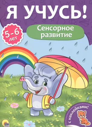 Сенсорное развитие (5-6 лет) — 2657954 — 1