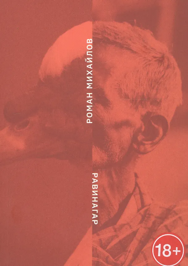 Книга Равинагар (Роман Михайлов) — 1
