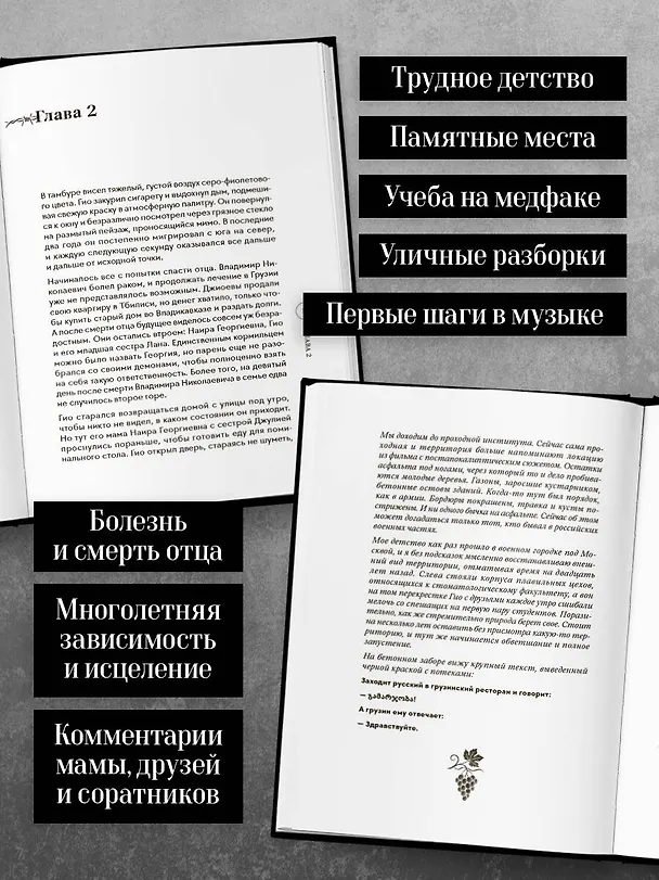 Книга Гио Пика: с юга на север. Авторизованная биография (Владимир Еркович) — 8