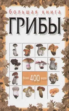 Большая книга. Грибы — 2051919 — 1