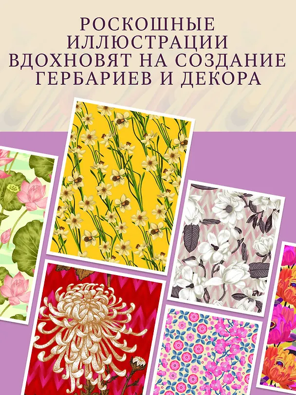 Книга Грамматика цветов. Иллюстрированный путеводитель по цветочной вселенной символов, лечебных свойств и применения растений (Симона Реканатини) — 10